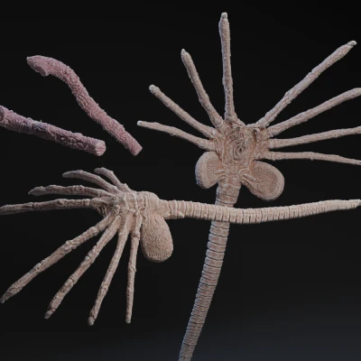 Mô Hình "Huggyface" - Mặt Nạ Quỷ Ám Từ Phim Alien