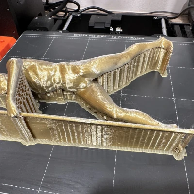 Mẫu người đang đi bộ