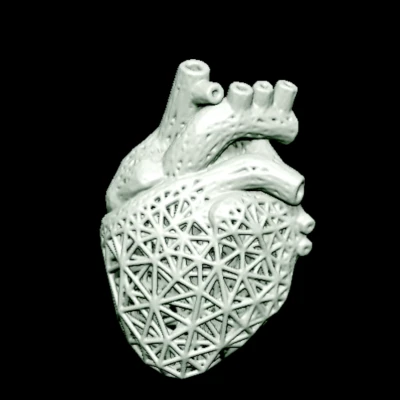 Trái Tim Dạng Lưới (Mesh Heart)