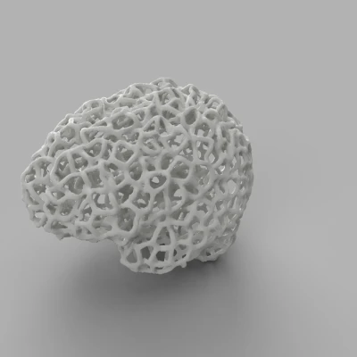 Bộ não của tôi - Voronoi