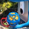 Giá đỡ viên mỡ lớn cho Bird Buddy. Không cần hỗ trợ! - Thumbnail 2