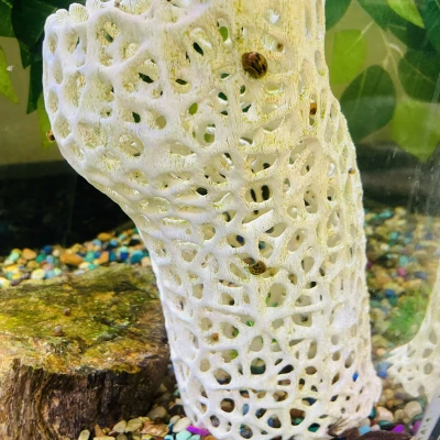 Cấu trúc Guppies Voronoi