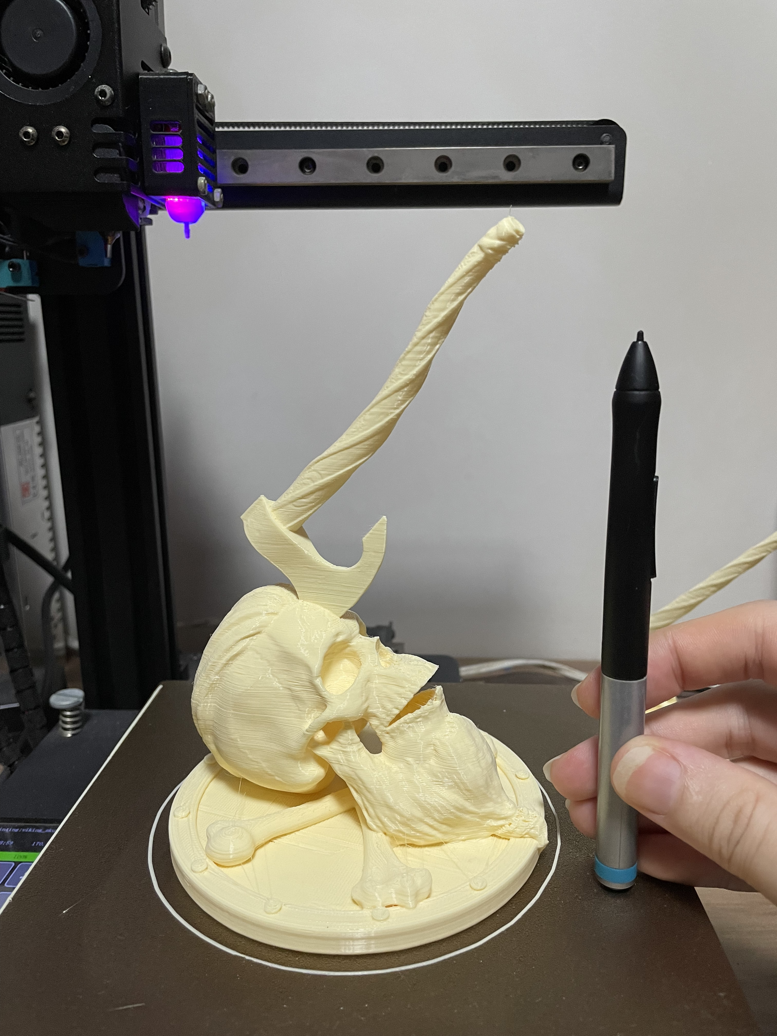 Mô hình Sọ Viking Râu Ria