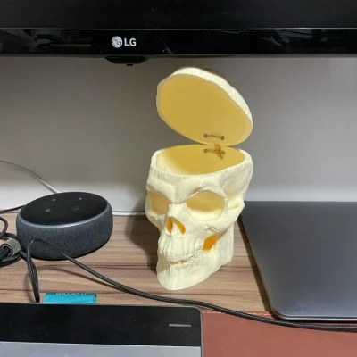 Đầu Lâu Đựng Đồ