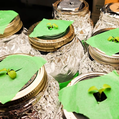 Adapter cho cốc lưới, lọ thủy tinh (mason jar)