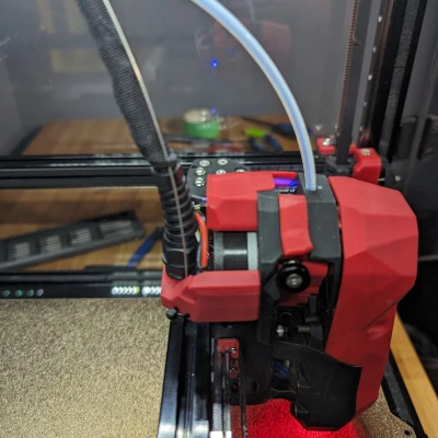 Cầu Dây Rốn có Giá Treo Dây Hỗ Trợ