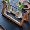 Đế Giữ Bình Hoa Terrarium Đơn - Thumbnail 2