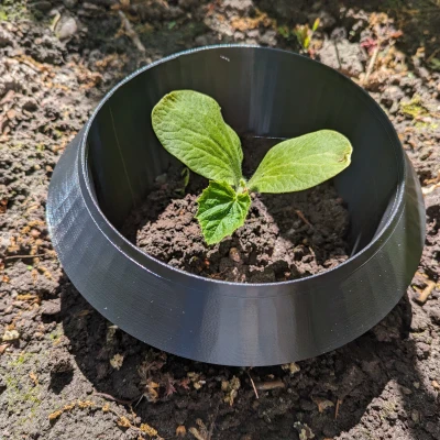 Vòng Cổ Sên (Schneckenkragen) Bảo Vệ Cây Con