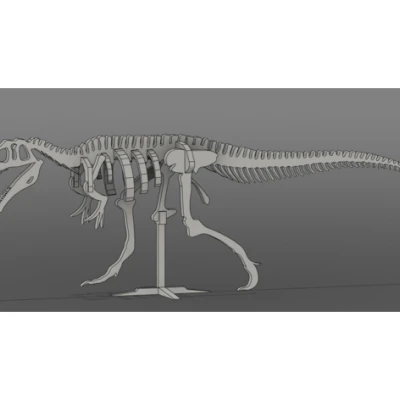 Bộ Thẻ Khủng Long Giganotosaurus