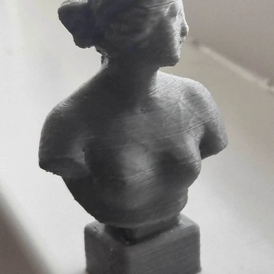 Tượng thần Vệ Nữ (của nhà điêu khắc Ý Antonio Canova)