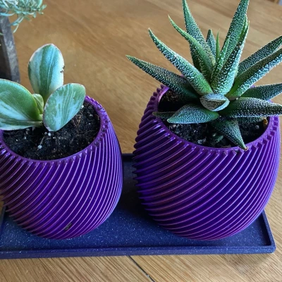 Coaster cho Bình Hoa