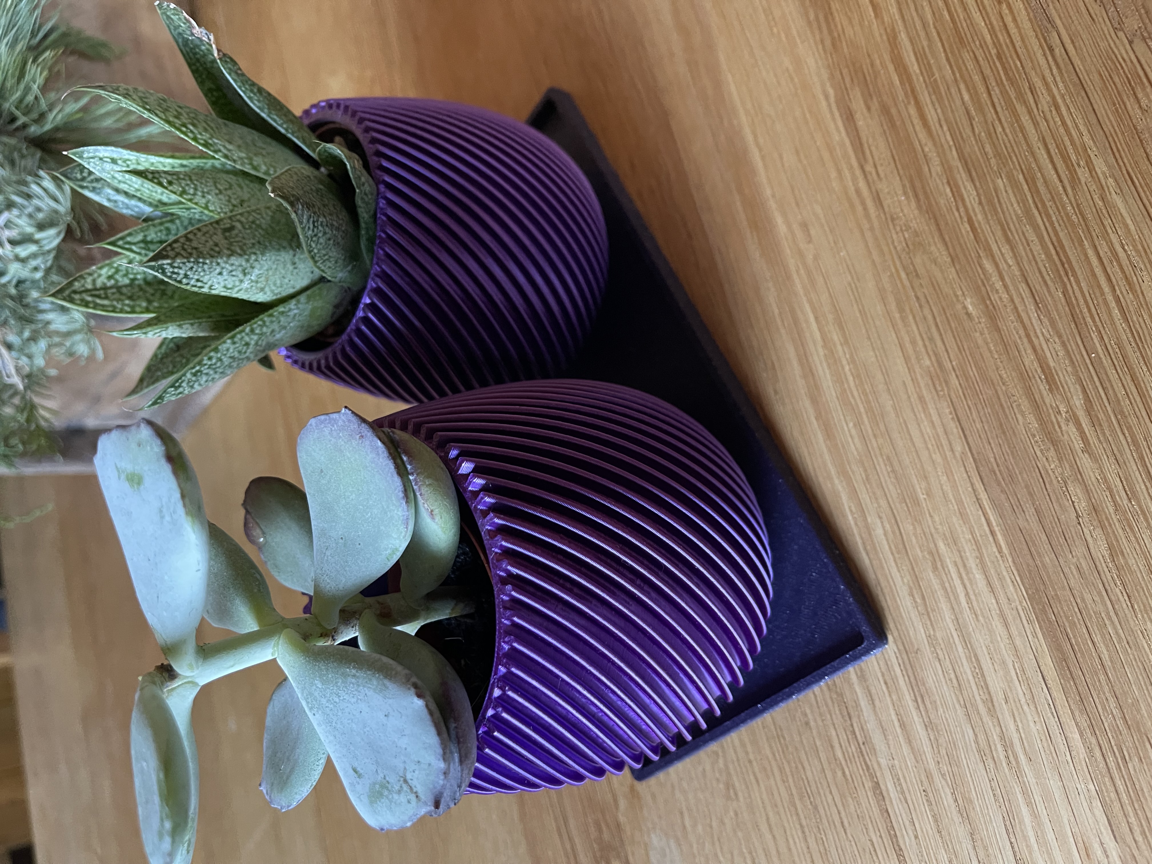 Coaster cho Bình Hoa