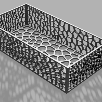 Thiết Kế Hộp Họa Tiết Voronoi