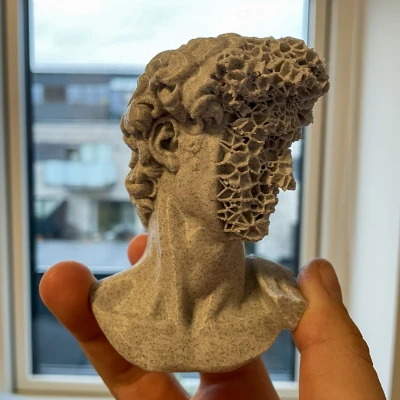 Tượng David Bị Nứt (Của Michelangelo)