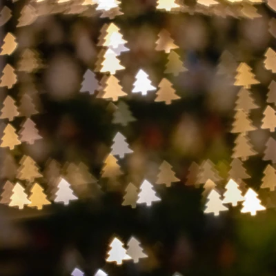 Filter Bokeh Cây Thông Noel 52mm (Cho Canon 50mm 1.8)