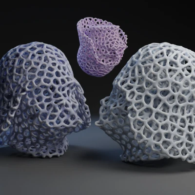 Mô hình Darth Voronader được sửa đổi