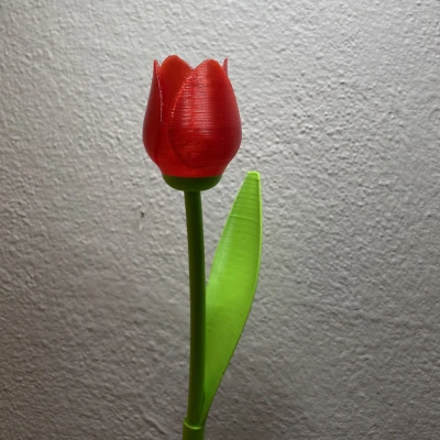 Hoa Tulip Xinh Đẹp Có Cuống - Quà Valentine Tuyệt Vời