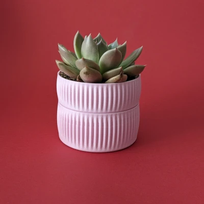 Chậu Tự Tưới Tiết Kiệm Nước