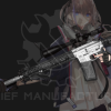 GIRLS’ FRONTLINE ST-AR15 Rail Cho Gel-Blaster CYMA - Thumbnail 2