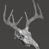 Hộp Sọ Hươu - Sừng Voronoi - Thumbnail 2