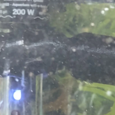 Bộ Chuyển Đổi Loc-Line 1/2in Cho Lọc Canister Marineland