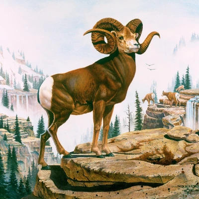 Dê Núi Rocky Mountain