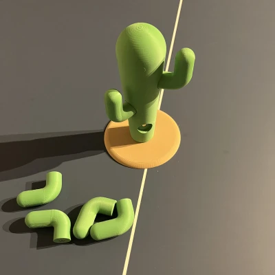 Xương Rồng Đựng Trang Sức Bằng Nam Châm