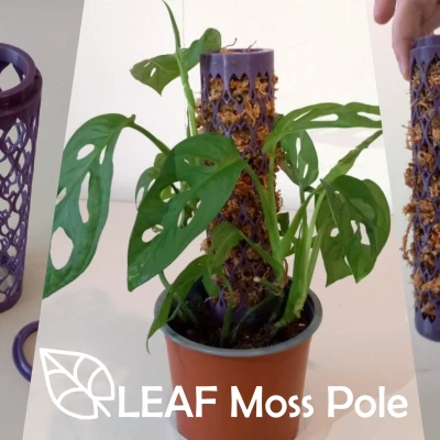 Cọc Rêu Dạng Lá LEAF Moss Pole