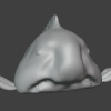 Mô hình 3D cá blobfish - Thumbnail 1