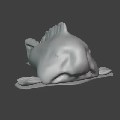 Mô hình 3D cá blobfish