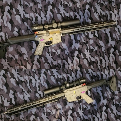 Ray Arca Swiss Mlok - Bản Chỉnh Sửa