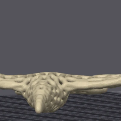 Mô Hình Quạ Bay Voroni