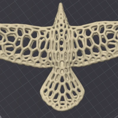 Mô Hình Quạ Bay Voroni