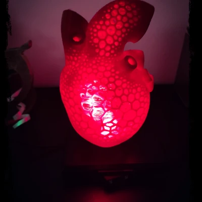 Đèn Ngủ LED Hình Trái Tim Giải Phẫu Họa Tiết Voronoi