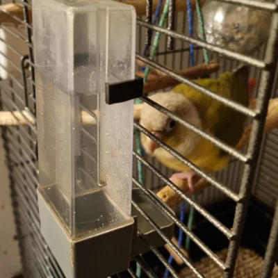 Giá Đỡ Bình Nước Cho Chim - Water Bottle Holder