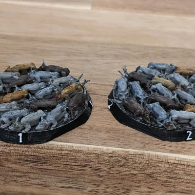 Đàn Chuột (Đỉnh Bằng Phẳng)