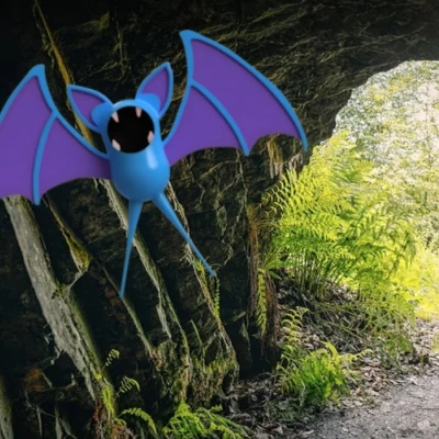 Zubat Pokemon