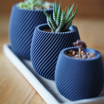 Chậu cây xoắn ốc hiện đại