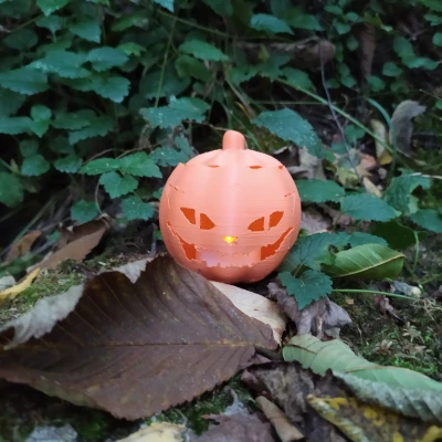 Mẫu Jack-O-Lantern Mặt Mèo Độc Đáo