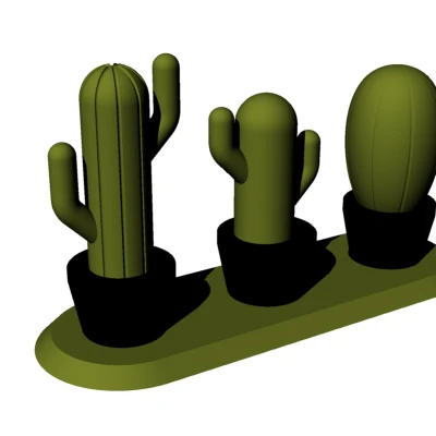 CHẬU XƯƠNG RỒNG & ĐẾ CẮM