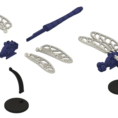 Chuồn Chuồn Voronoi