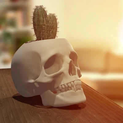 Chậu Cây/Cốc Cắm Bút Hình Đầu Lâu Chân Thật