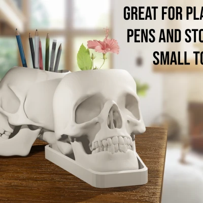 Chậu Cây/Cốc Cắm Bút Hình Đầu Lâu Chân Thật