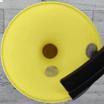 Heo Đất Vòng Xoáy Tiền Xu