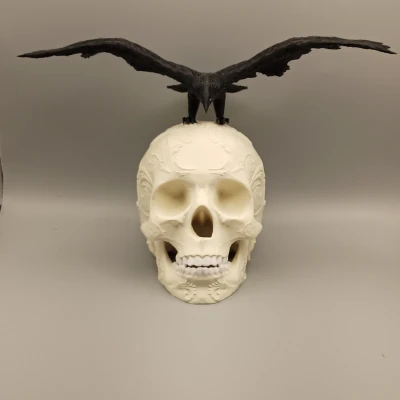 Đầu Lâu Trang Trí Kèm Quạ