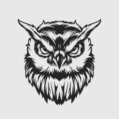 Tranh treo tường hình cú