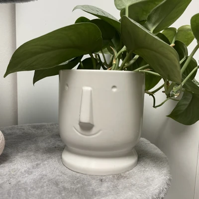 Chậu Hoa Cười - Tùy Chỉnh Kích Thước Dễ Dàng