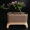 Chậu Cây Bonsai Kumiko Có Chân (Chữ Nhật) - Thumbnail 6