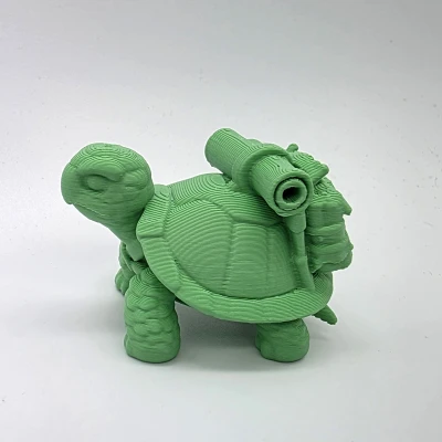 Sheldon Junior - Chú Rùa Con Đáng Yêu