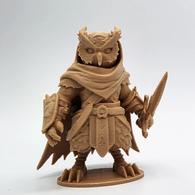 Chiến Binh Bóng Đêm - Cú Và Rồng